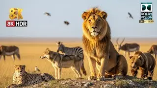 &ldquo;Life of the Wild: Lions, Wolves & the Silent Rules of the Jungle | Ultra-Real Wildlife Documentary