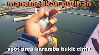 Mancing nutul ikan putihan di spot area karamba bukit cinta !!! Umpan roti racing