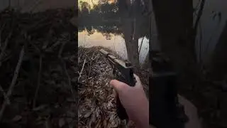 Extreme Beaver Hunt P.O.V. #beaver #hunting #texas #sigsauer #firearm #funny
