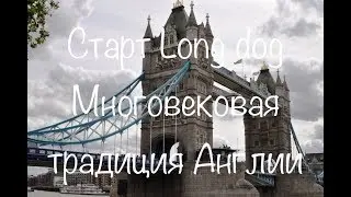 #94. Старт Long Dog/Традиция Переписи Лебедей в Англии