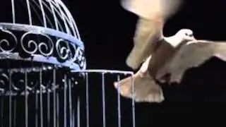 HELKER /ANGEL.wmv