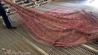 Keeping the memory for generations Oriental rug cleaning