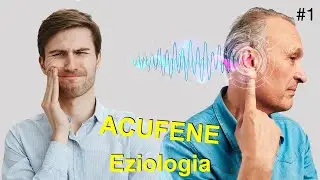 Acufene: Eziologia.