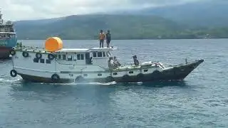 doan kae, flores timur, Ntt.