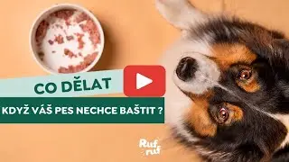 Rufruf | Co dělat, když pes nechce j&iacute;st granule?