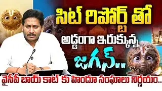 వైసీపీ  భాయ్ కాట్ కు హిందూ సంఘాలు నిర్ణయం..Tirumala Ghee Adulteration | YS Jagan | Manamtv World