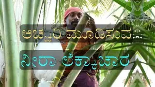 ಅಚ್ಚರಿ ಮೂಡಿಸುವ ನೀರಾ ಲೆಕ್ಕಾಚಾರ - Astonishing calculation of Neera