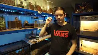 Escapees and Invert Nation Giveaway Winner.