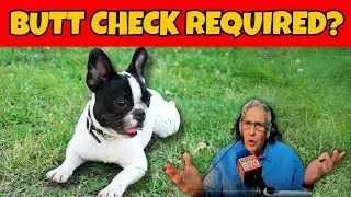 Heated Exchange Erupts Over Misgendering Of Cute Dog