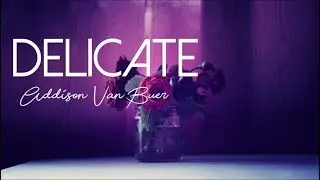 Taylor Swift - Delicate (Cover by Addison Van Buer) Audio