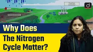 Nitrogen Cycle Explained | Role of Nitrogen-fixing Bacteria | UPSC | Drishti IAS English