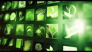 The Sustainable Coexistence (The Great Catastrophe - 3.1) Dark Ambience