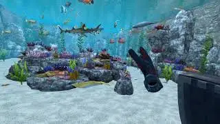 Rea Vr Fishing Auf Der Pico 4 Rundkopf Geigenrochen