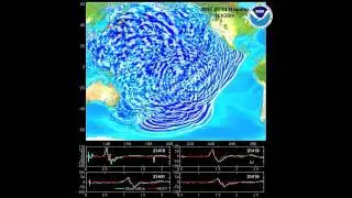Tsunami propagation animation