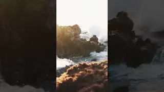 ocean waves #beautiful #foryou #mashallah #water #habitat #nature #sunset #trending #trendingshorts