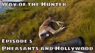 Way of the hunter gameplay no commentary, Pheasants, Hollywood