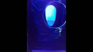 Inside a Laser maze from AAA Inflatables
