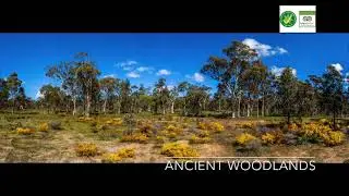 Avon Valley and Wheatbelt