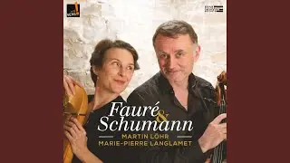F&uuml;nf St&uuml;cke im Volkston, Op. 102: No. 1, Vanitas Vanitatum - Mit Humor (Arr. for Harp & Cello)