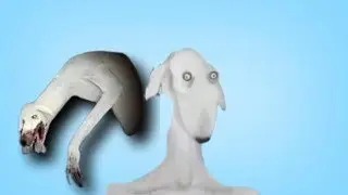 Reagindo a Dexter el perro 2 : O esperimento 0001