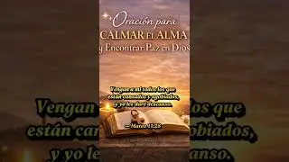 Cita B&iacute;blica que Calma el Alma 🙏 | #Shorts