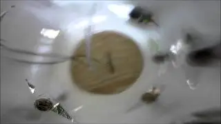 Solar Barrel Hydroponics Misting System