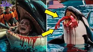 Killer Whale SLAUGHTERS Trainer Couple &mdash; Clara DEAD, Lucas Shattered | orca attack
