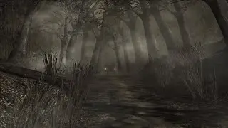 The Forest That Eats Gods