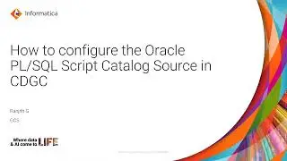 323. How to Configure the Oracle PL/SQL Script Catalog Source in CDGC