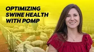 Dr. Ana Paula Silva: PRRS Outbreak Management Program (POMP)