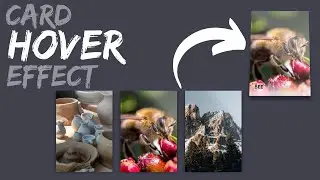 How to Create Card Hover Effect by Using (HTML - CSS )