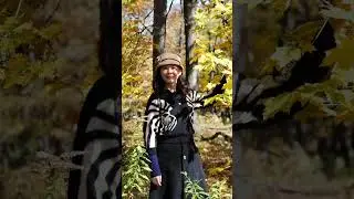 Autumn Leaves in Illinois# travel# Oct.2020#pandemic period #USA#shortsviral