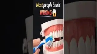 How to Brush Teeth Properly | Correct Brushing Technique #shorts #youtubeshorts #dental #bds #viral