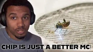THIS NEEDS TO BE OVER!! CHIP - PEST CONTROL AMBUSH DISS (REACTION)
