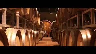 Amarone della Valpolicella Docg Pagus Bisano: 92/100 Vinitaly - 5 STAR WINES AWARD - Produzione.