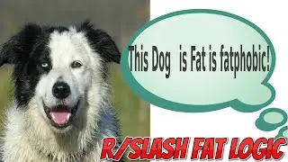 Fatlogic This dog is fatphobic!