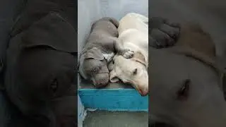 ####❤️❤️####