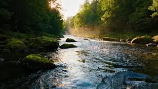 Flowing Forest River: Deep Sleep Sounds 4K | StreamHaven 4K