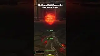 National WOWgraphic: The Hunt is On. - Marksmanship Hunter PVP BG #shorts