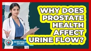 Why Does Prostate Health Affect Urine Flow? - Doctor Specialties Explained