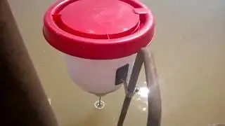 Pendulum on demand feeder for carps 2