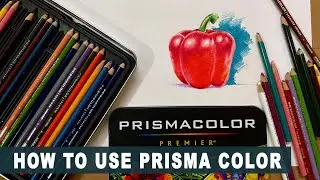 How to use prisma color | Color pencil drawing for beginners #colorpencil #prismacolor #drawing