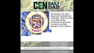 Minnesotans Sue State Over Right to Sell Homegrown Cannabis #minnesota #cannabis  #cannabisnews