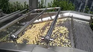 Vortex Vegetable Washing Machine Wash Sprout Video