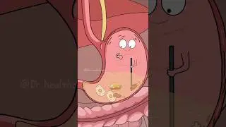 Why You Shouldn&rsquo;t Sleep Right After Eating? #shorts