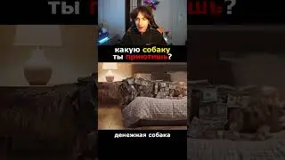 Какую Собаку Ты Приютишь?! 🤔#Shorts #Сэвэн