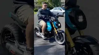 I Bagged My 2024 Honda Grom! #grom #shorts #minimoto