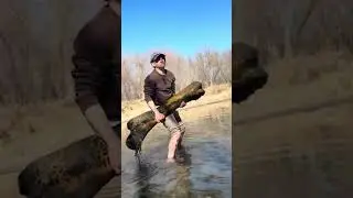 Incredible Moment Bone Hunter Finds Massive Prehistoric Femur #shorts