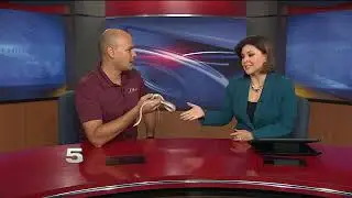 Zoo Guest of the Week: Glossy Snake