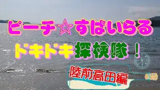 ピーチ☆すぱいらるドキドキ探検隊（陸前高田編）